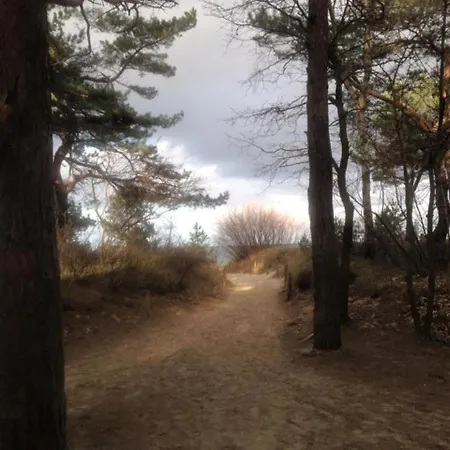 בית נופש Iris צינוביץ